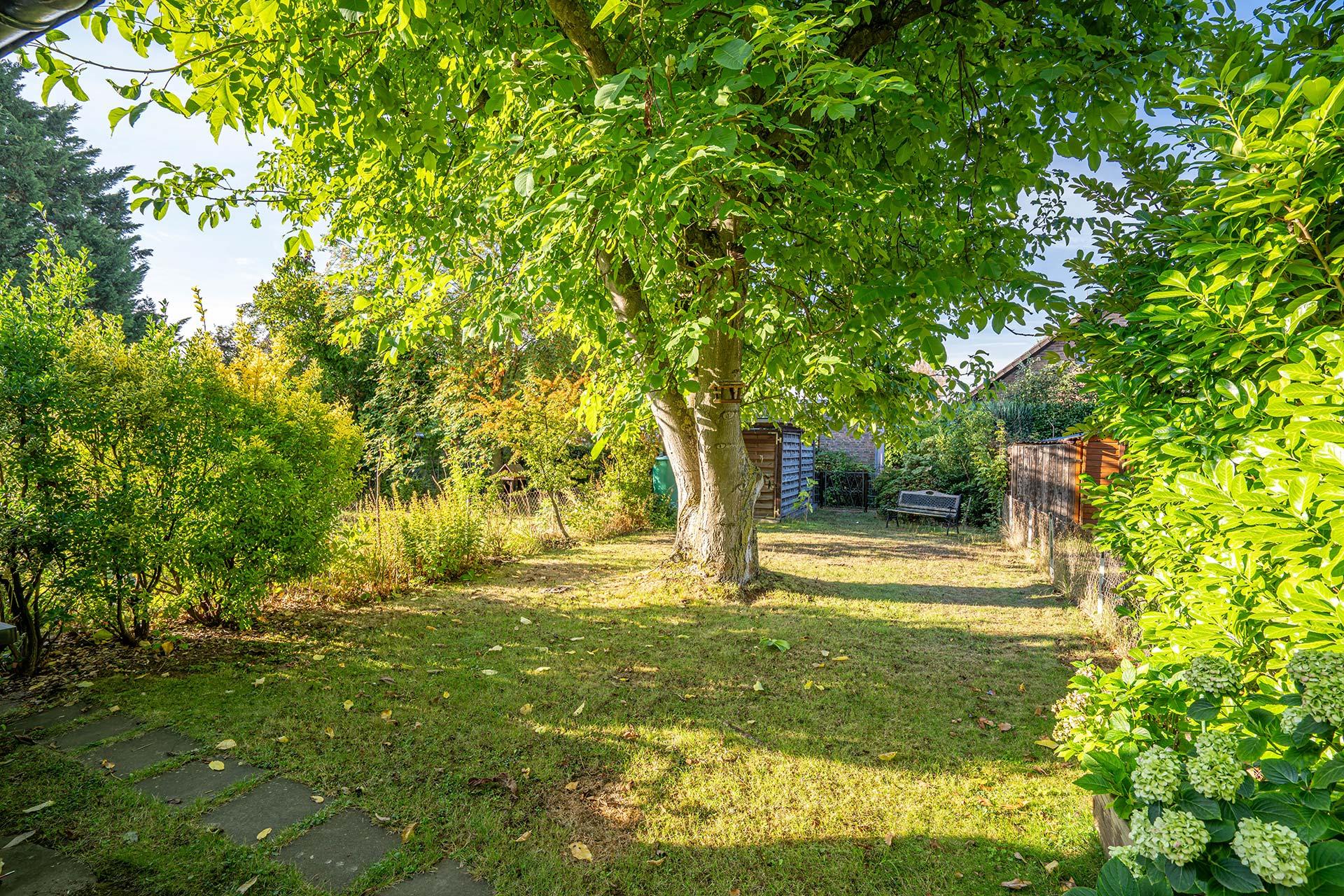 Blick in den Garten Reihenmittelhaus Erftstadt